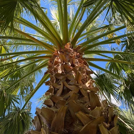 βianca In Sithonia Villa