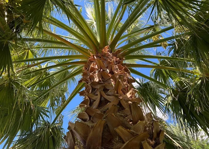 βianca In Sithonia Willa