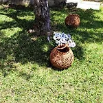 βianca In Sithonia